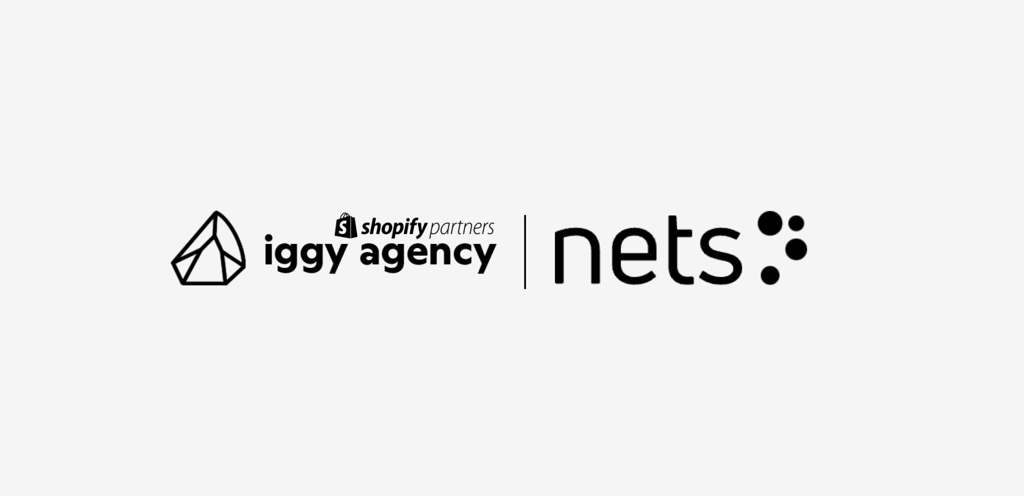 Nets Checkout on Shopify: A Game-Changer for E-commerce Entrepreneurs - Iggy Agency