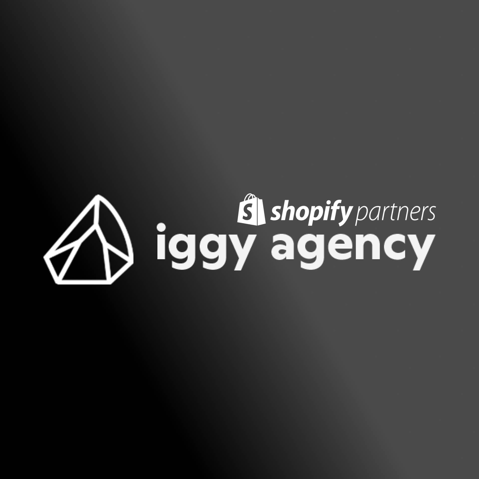Shopify B2B Experts - Iggy Agency